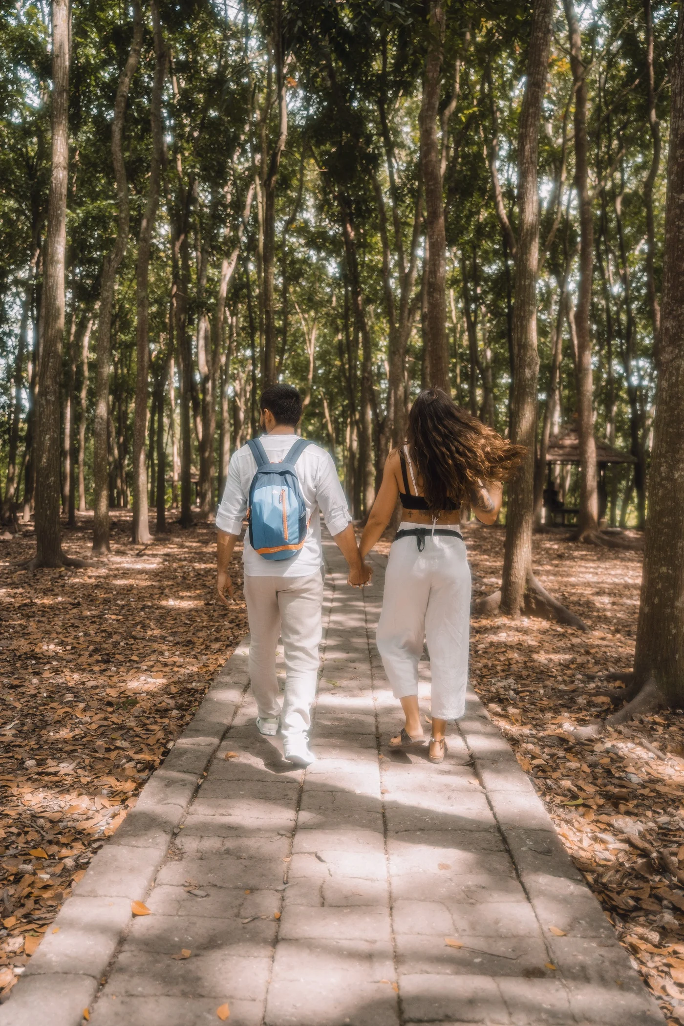 Roteiros personalizados inspirados em Bali Monkey Forest